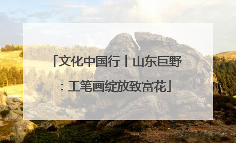 文化中国行丨山东巨野：工笔画绽放致富花