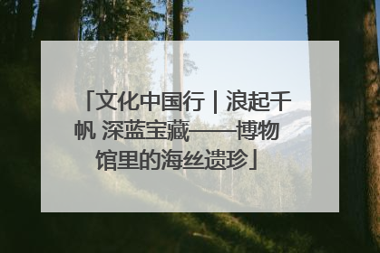 文化中国行｜浪起千帆 深蓝宝藏——博物馆里的海丝遗珍