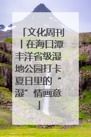 文化周刊丨在海口潭丰洋省级湿地公园打卡夏日里的“湿”情画意