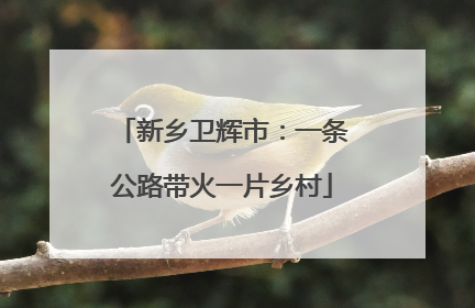 新乡卫辉市：一条公路带火一片乡村