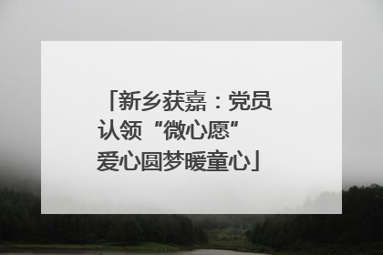 新乡获嘉：党员认领“微心愿” 爱心圆梦暖童心