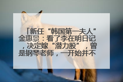 新任“韩国第一夫人”金惠景：看了李在明日记，决定嫁“潜力股”，曾是钢琴老师，一开始并不支持丈夫从政