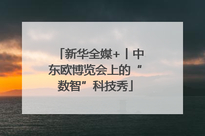 新华全媒+丨中东欧博览会上的“数智”科技秀