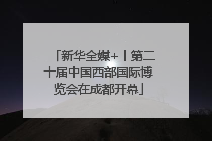 新华全媒+丨第二十届中国西部国际博览会在成都开幕