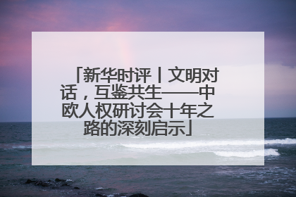 新华时评丨文明对话，互鉴共生——中欧人权研讨会十年之路的深刻启示