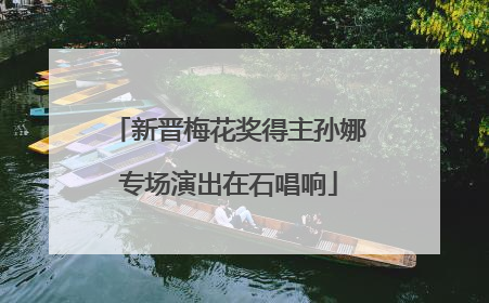 新晋梅花奖得主孙娜专场演出在石唱响