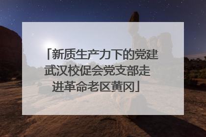 新质生产力下的党建 武汉校促会党支部走进革命老区黄冈