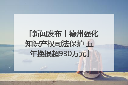 新闻发布丨德州强化知识产权司法保护 五年挽损超930万元
