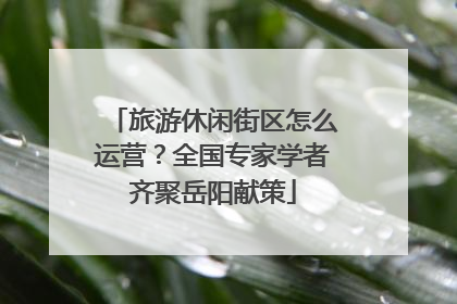 旅游休闲街区怎么运营？全国专家学者齐聚岳阳献策