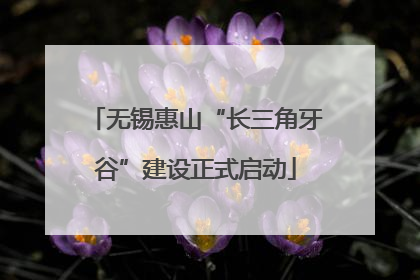 无锡惠山“长三角牙谷”建设正式启动