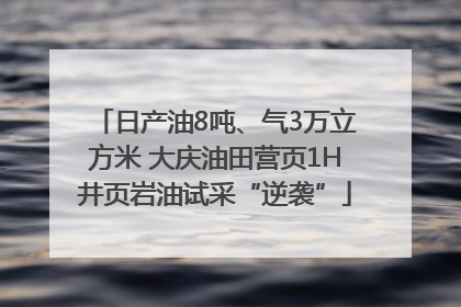 日产油8吨、气3万立方米 大庆油田营页1H井页岩油试采“逆袭”