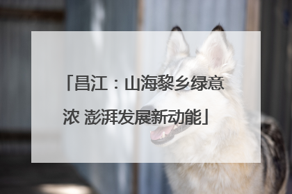 昌江：山海黎乡绿意浓 澎湃发展新动能