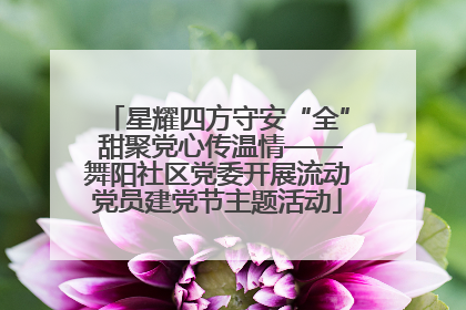 星耀四方守安“全” 甜聚党心传温情——舞阳社区党委开展流动党员建党节主题活动