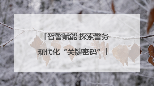 智警赋能 探索警务现代化“关键密码”