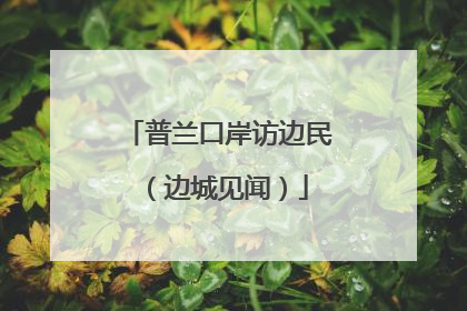 普兰口岸访边民（边城见闻）