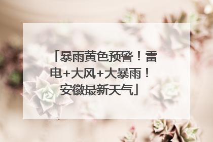 暴雨黄色预警！雷电+大风+大暴雨！安徽最新天气