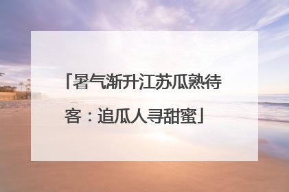 暑气渐升江苏瓜熟待客：追瓜人寻甜蜜