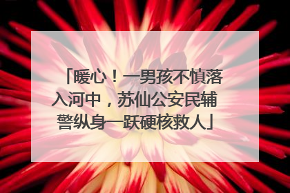 暖心！一男孩不慎落入河中，苏仙公安民辅警纵身一跃硬核救人