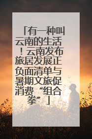 有一种叫云南的生活！云南发布旅居发展正负面清单与暑期文旅促消费“组合拳”