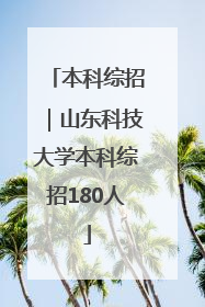 本科综招｜山东科技大学本科综招180人