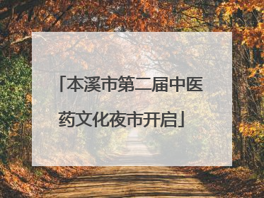 本溪市第二届中医药文化夜市开启