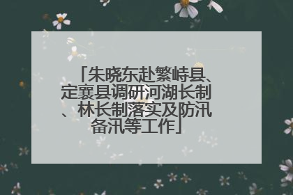 朱晓东赴繁峙县、定襄县调研河湖长制、林长制落实及防汛备汛等工作
