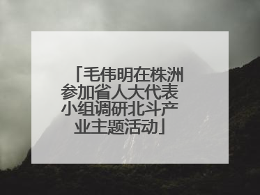 毛伟明在株洲参加省人大代表小组调研北斗产业主题活动