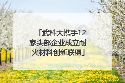 武科大携手12家头部企业成立耐火材料创新联盟