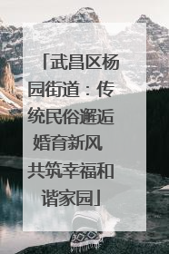武昌区杨园街道：传统民俗邂逅婚育新风 共筑幸福和谐家园