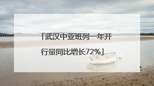 武汉中亚班列一年开行量同比增长72%
