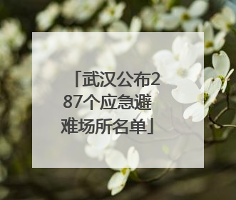 武汉公布287个应急避难场所名单