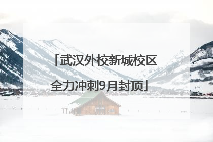武汉外校新城校区全力冲刺9月封顶