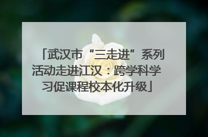武汉市“三走进”系列活动走进江汉：跨学科学习促课程校本化升级