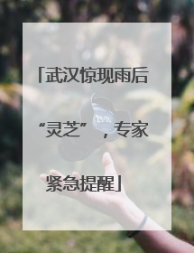 武汉惊现雨后“灵芝”，专家紧急提醒