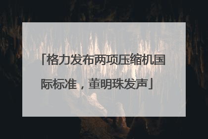 格力发布两项压缩机国际标准，董明珠发声