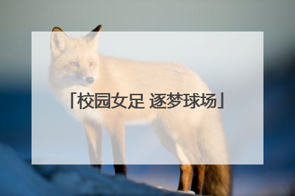 校园女足 逐梦球场