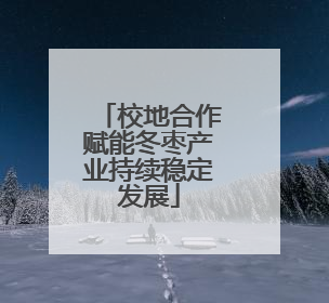 校地合作赋能冬枣产业持续稳定发展