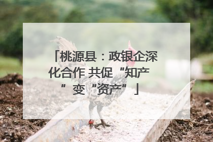 桃源县：政银企深化合作 共促“知产”变“资产”
