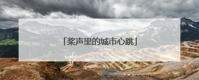 桨声里的城市心跳