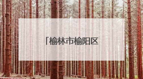 榆林市榆阳区：以园区集群助力轻纺产业走上“复兴路”