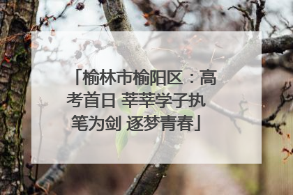 榆林市榆阳区：高考首日 莘莘学子执笔为剑 逐梦青春