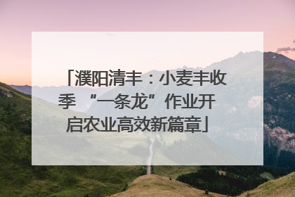 濮阳清丰：小麦丰收季 “一条龙”作业开启农业高效新篇章