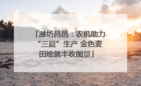 潍坊昌邑：农机助力“三夏”生产 金色麦田绘就丰收图景