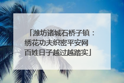 潍坊诸城石桥子镇：绣花功夫织密平安网 百姓日子越过越踏实