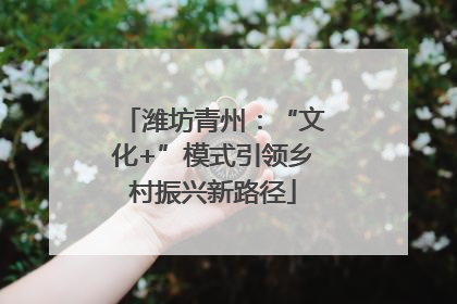 潍坊青州：“文化+”模式引领乡村振兴新路径