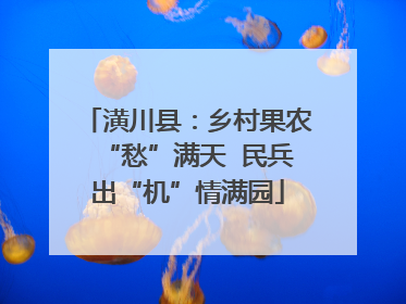 潢川县：乡村果农“愁”满天  民兵出“机”情满园