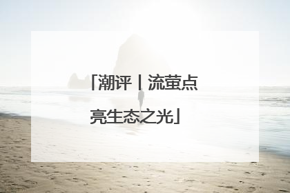 潮评丨流萤点亮生态之光