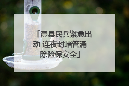 澧县民兵紧急出动 连夜封堵管涌除险保安全