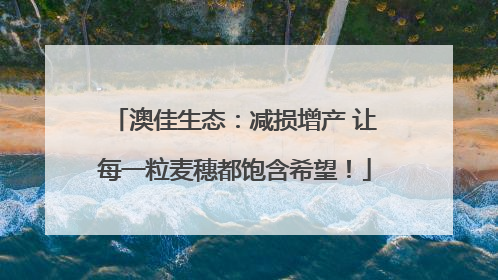 澳佳生态：减损增产 让每一粒麦穗都饱含希望！