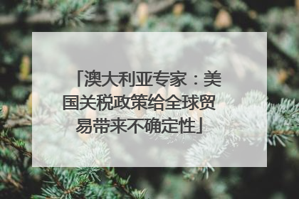 澳大利亚专家：美国关税政策给全球贸易带来不确定性